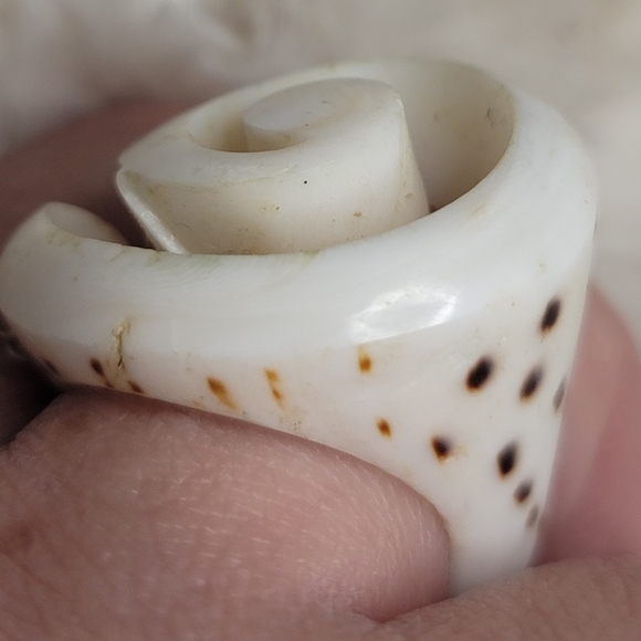 Seashell Ring Size 9 - Picture 6 of 6